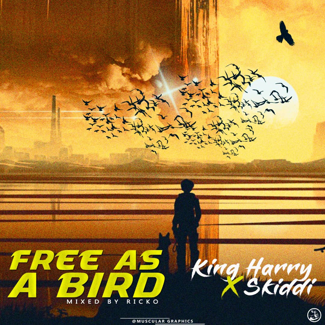 MUSIQ: King Harry X Skiddi – Free As a Bird [M&M by Ricko]