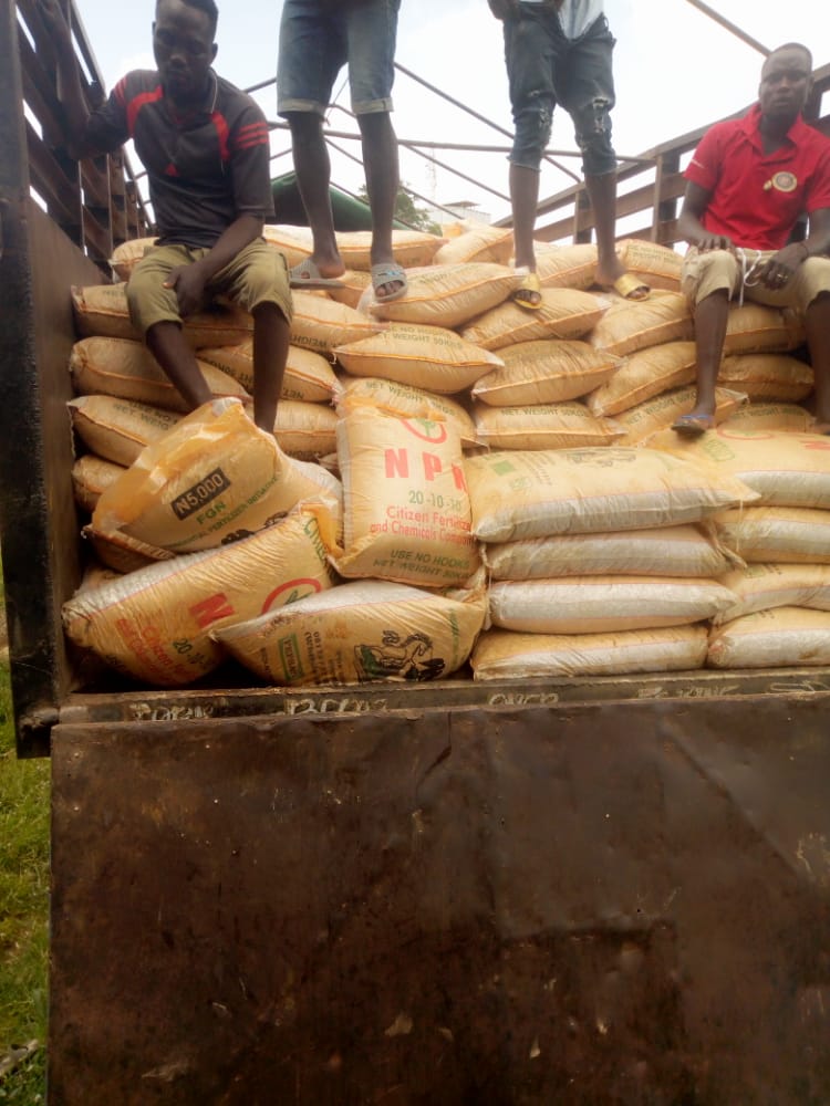 Hon. Nanlong Daniel’s trucks of fertilizer just arrived and ready for distribution.