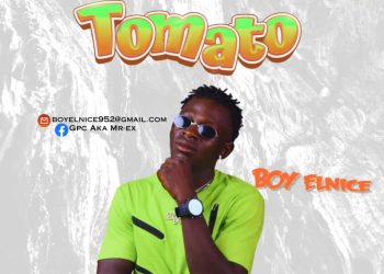 Boy-Elnice – Tomato (Prod by Willz)