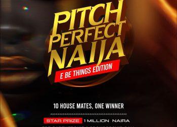 Know More about Pitch Perfect Naija