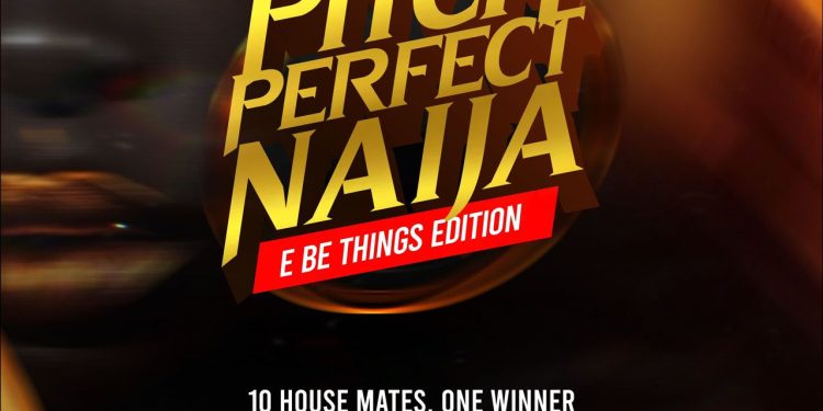 Know More about Pitch Perfect Naija