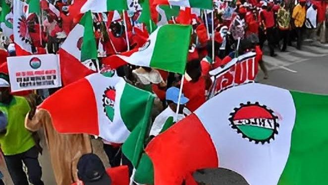 NLC Declares Two-Day Warning Strike Over Effects Of Subsidy Removal