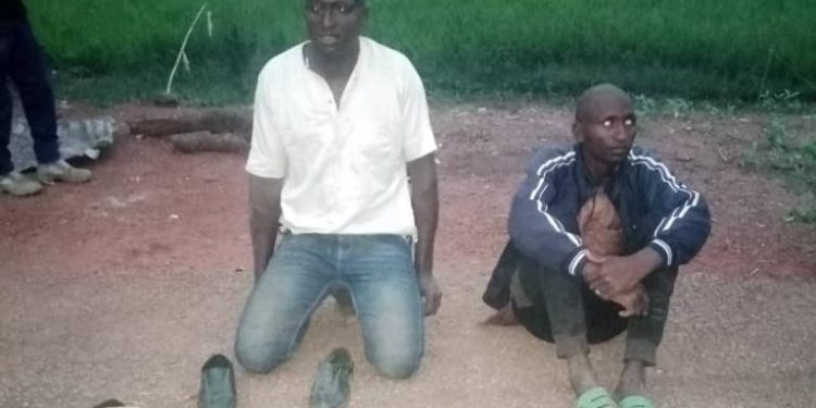 Troops Arrests 91 Criminal Suspects In Plateau, Recovers Arms, and Rescues Kidnapped Victims