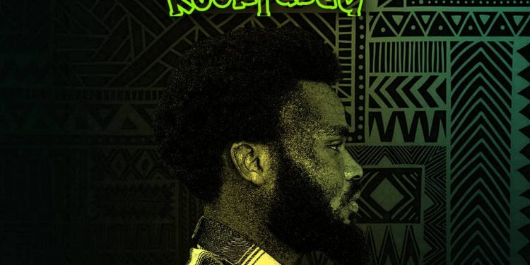 Introducing Kookfused: The Sonic Revolution