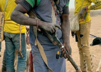 Bandits Fed Twin Babies Born In Captivity To Dogs – Zamfara Rep