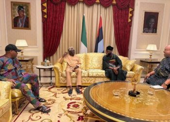 Amid Defection Rumour, Gov. Adeleke, Davido Meet Tinubu In Lagos