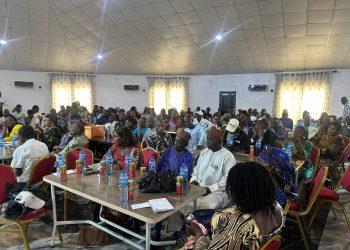 IMPACT Project Rallies Stakeholders to Boost PHC Service Uptake Across Plateau State