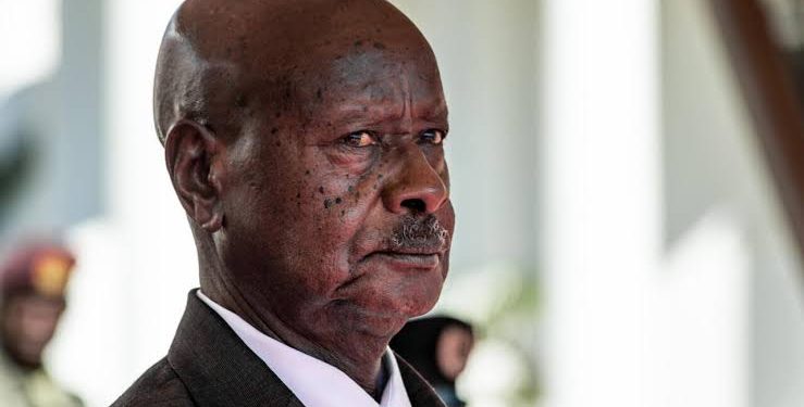 Museveni Seeks Seventh Term After Nearly Four Decades in Power