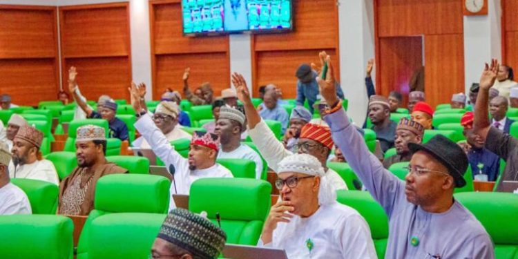 Reps Propose Two-Year Jail Term, N10m Fine for Dual Party Membership