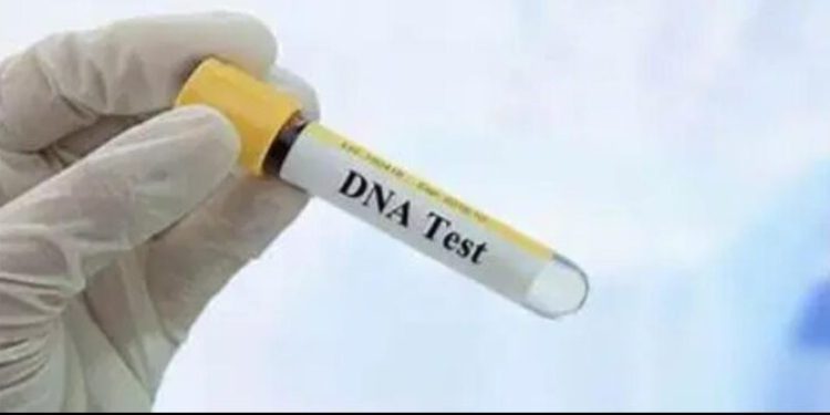 DNA Test Confirms Grandfather as Father of Granddaughter’s Child