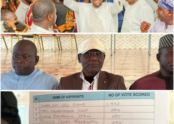 APC Primaries: Barji Defeats Incumbent Senator to Secure Plateau Central Ticket