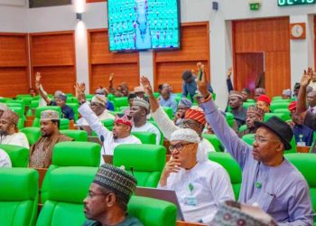 Reps to Service Chiefs: Resign if Insecurity Persists