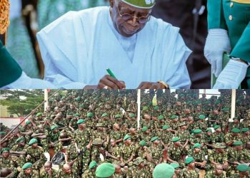 Tinubu Approves Expansion of Nigerian Army to 12 Divisions, 28,000 New Recruits