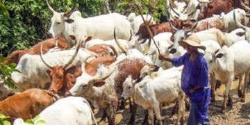 Farmer Loses Hand in Alleged Attack Over Fallen Cow in Plateau