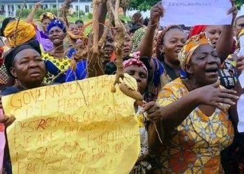 Abia Women Protest Alleged Destruction of Farms by Herdsmen